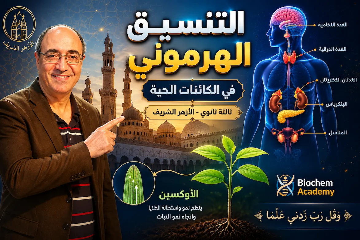 التنسيق الهرموني في الكائنات الحية (٣ث أزهر)