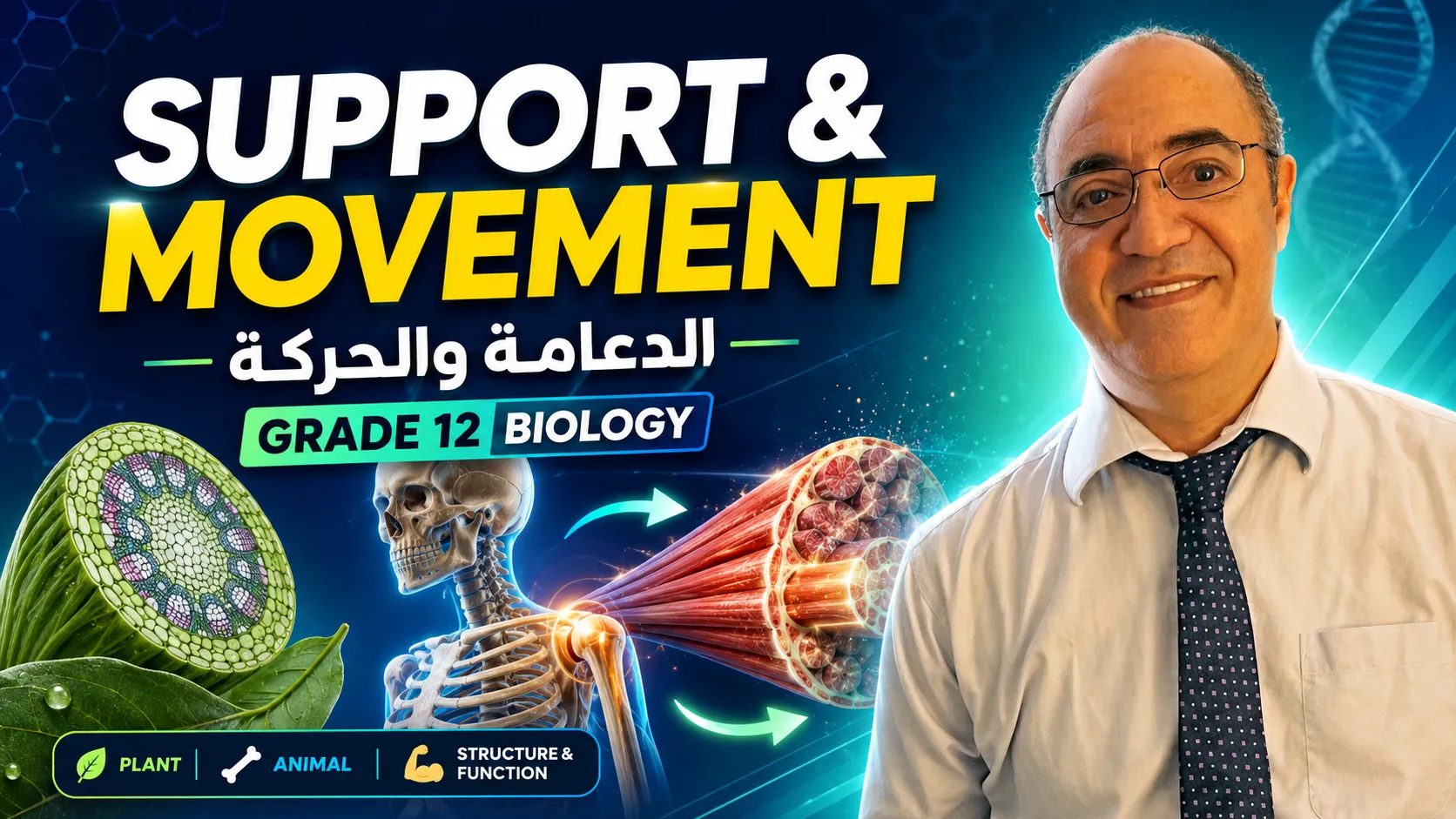 Support and Movement
